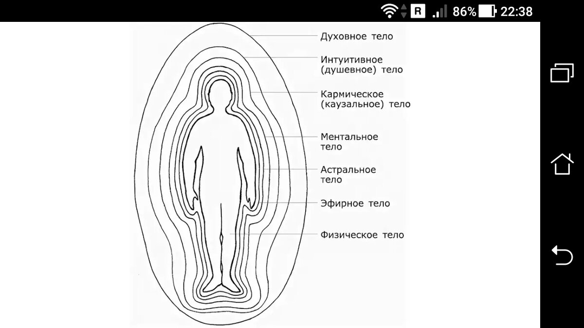 Схема вибраций человека