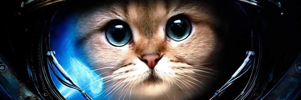 картинка взята из свободного доступа