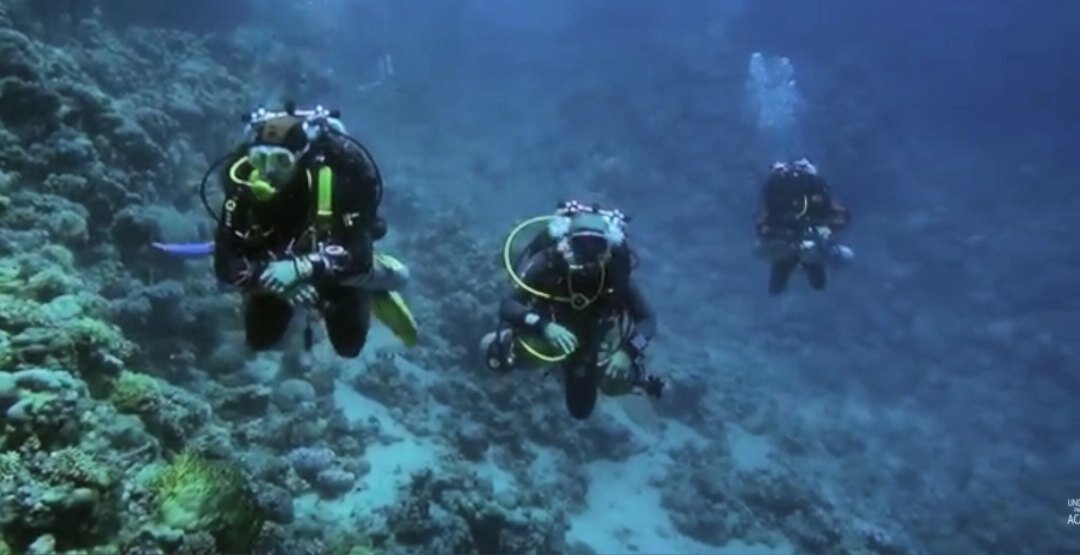 Blue hall кладбище дайверов. барбара блю холл дахаб. голубая дыра красное море погибшие дайверы. кладбище дайверов подводный риф нептуна. блю холл барбара диллинджер.