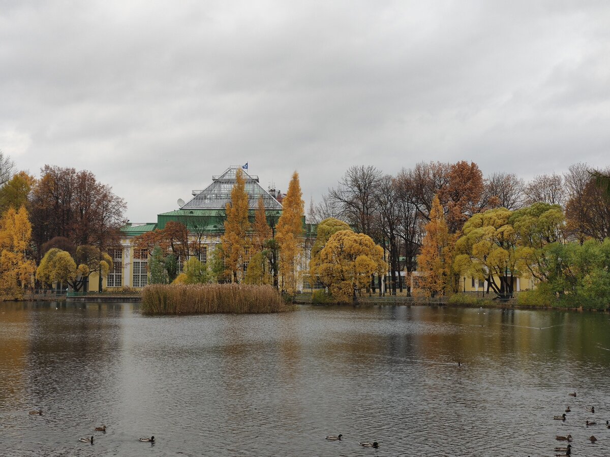 Таврический парк в Петербурге