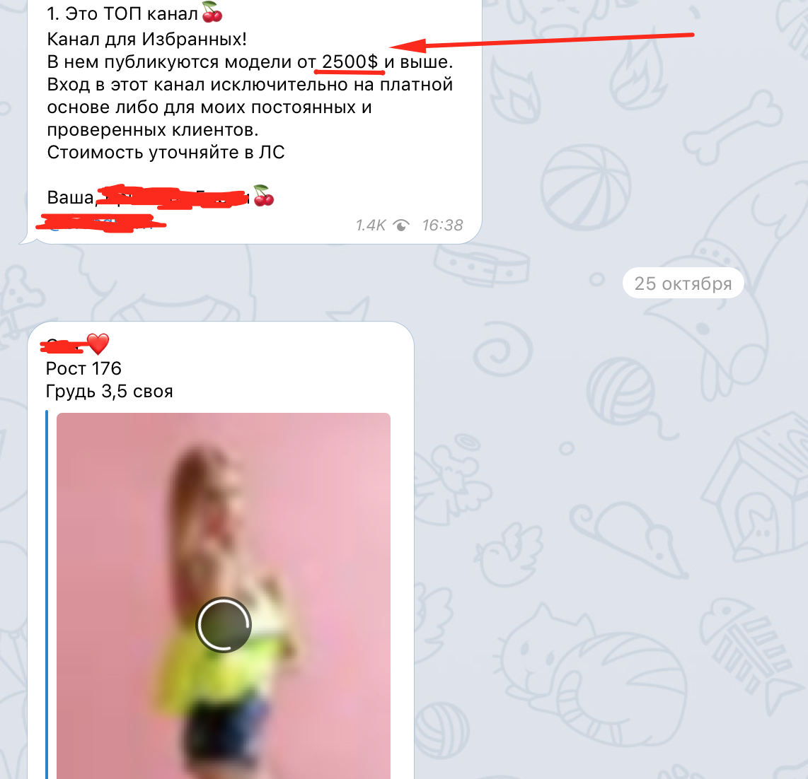 Взято из телеграмм канала