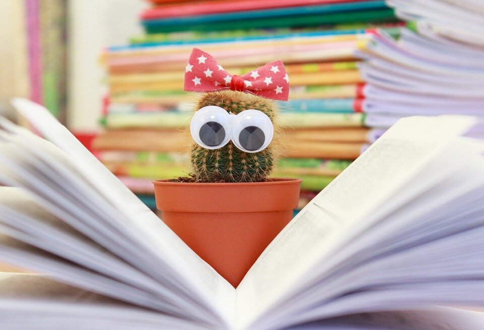 Источник: https://cdn.pixabay.com/photo/2015/11/26/00/01/cactus-1063094_960_720.jpg