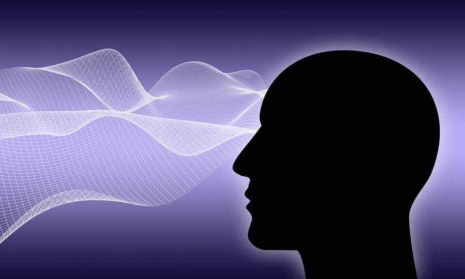 https://pixabay.com/ru/illustrations/мысль-мозг-разум-идея-голова-4521050/