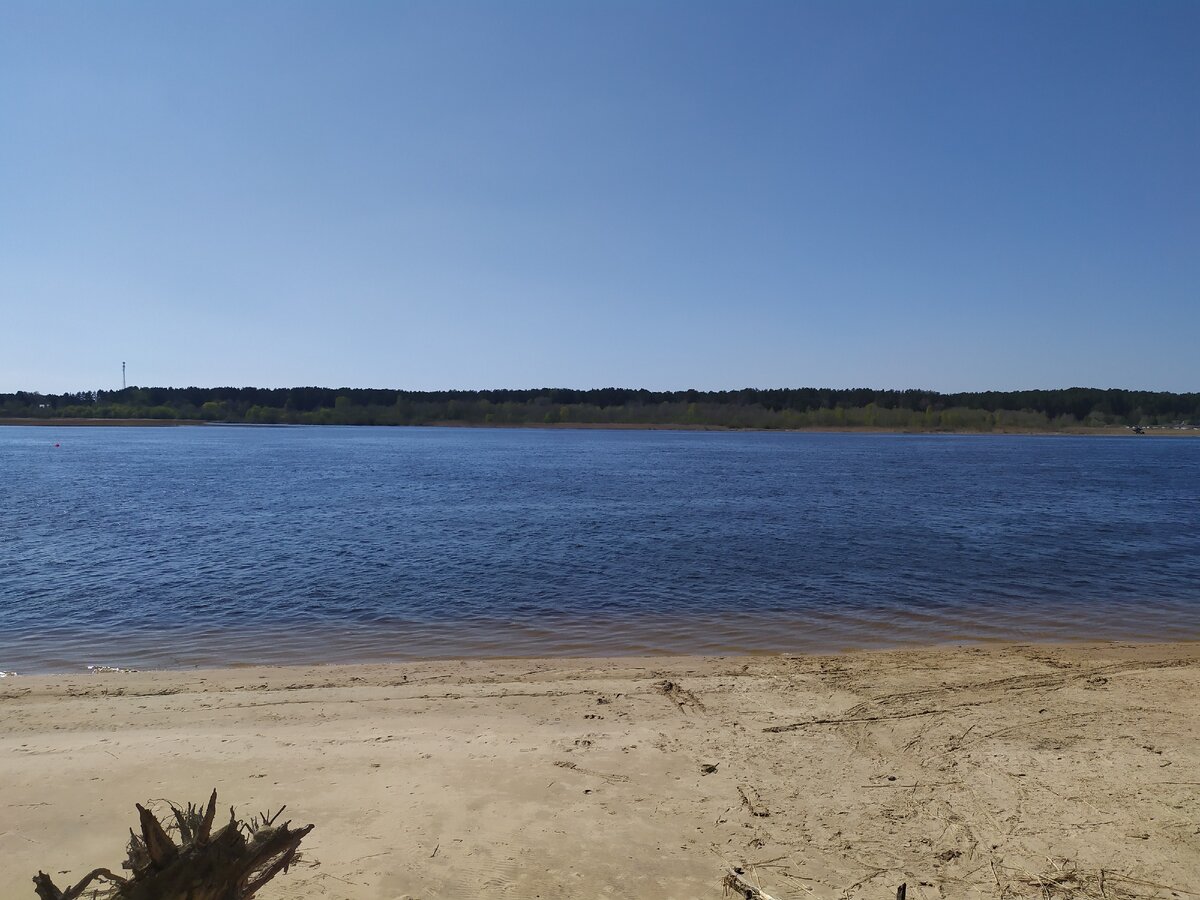 июнь 2019 года