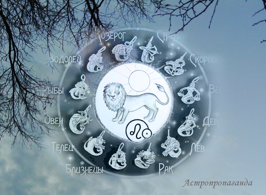 Коллаж Нины Стрелковой.