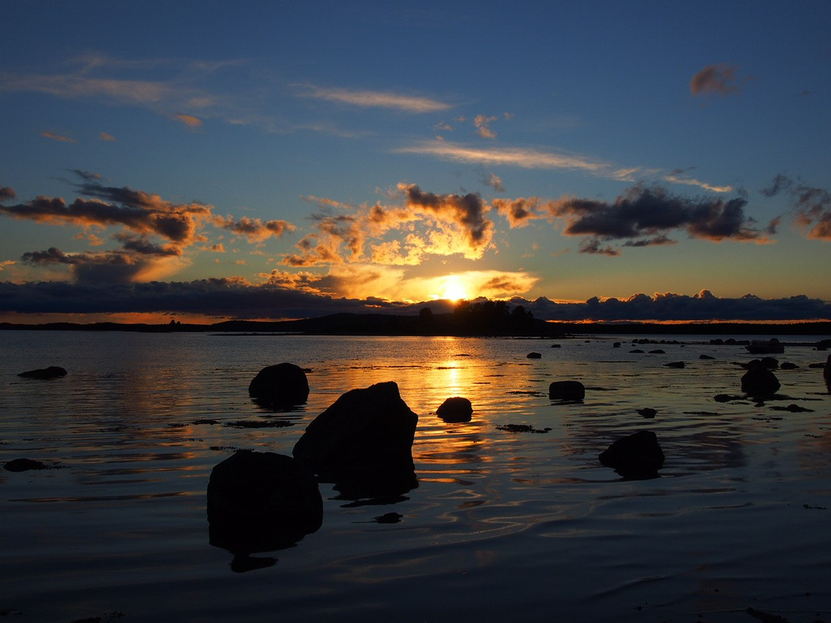 (Фото: Кристина Городецкая)