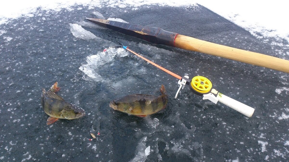 Фото - яндекс.картинки