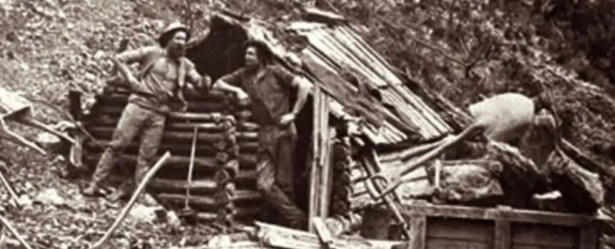 братья МакЛауды