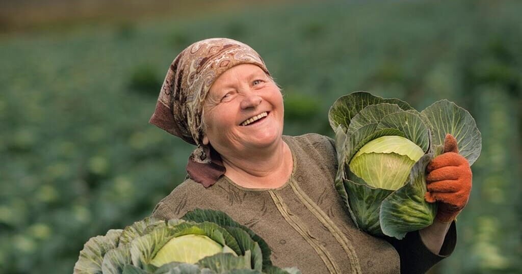 фото яндекс картинки