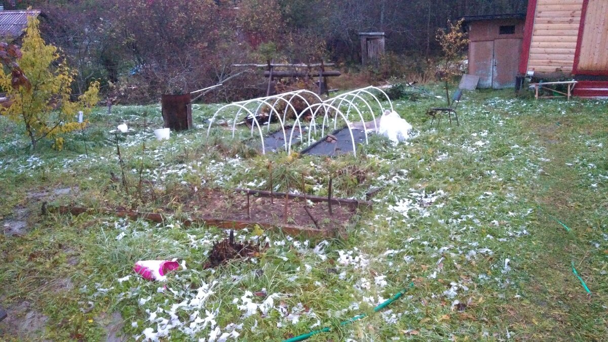 Наш участок на даче