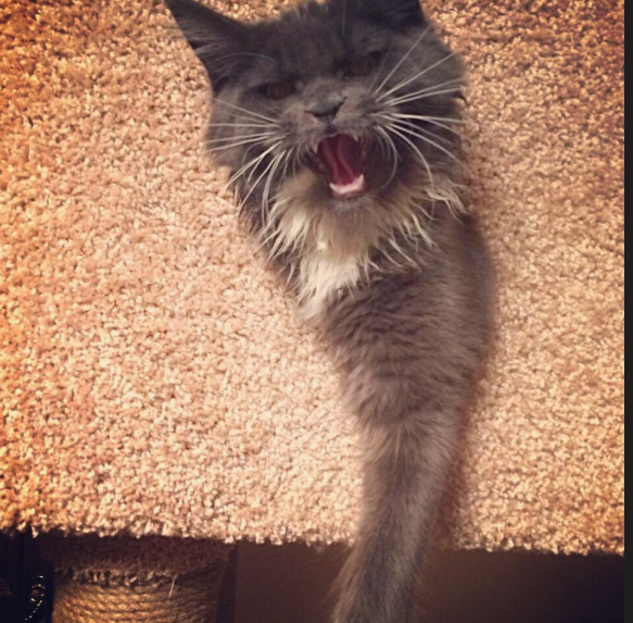 Из личного архива