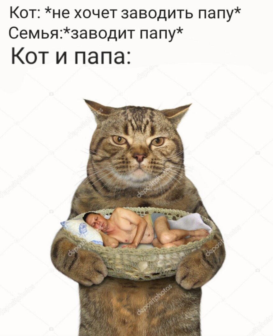 Хочу завести