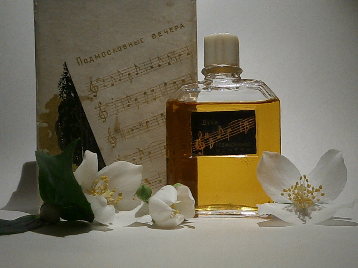 Пирамида "Подмосковных вечеров": начало – свежая зелень, майская роза (шиповник), чубушник; середина – цветы табака, пион, липа; база – мох, ветивер, мускус, бензоин.