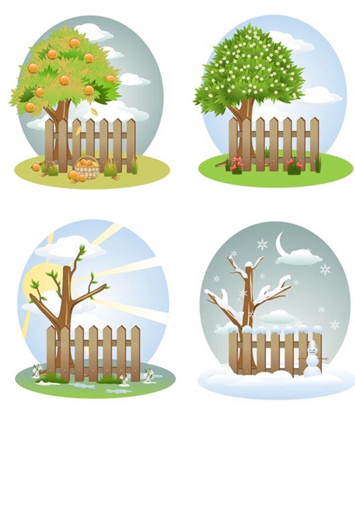 Зима лето групп. Летнее дерево для детского сада. Времена года иллюстрации. Изображения времен года для детей.