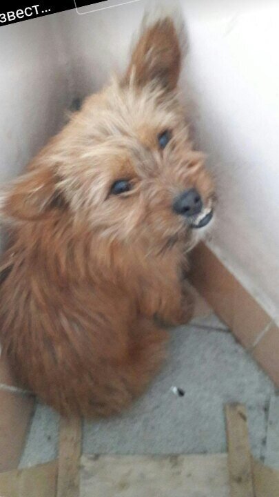 Внимательно слушаю рассказ о светлом будущем...