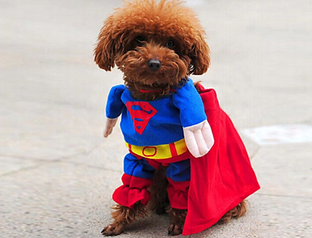  Фото с ifedeathprizes.com