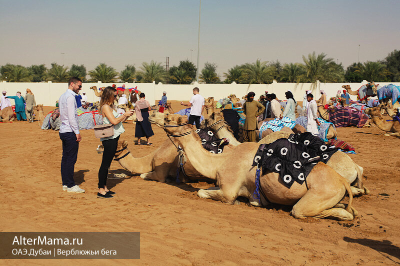 Зимой в ОАЭ комфортно даже в джинсах, вечером можно накинуть свитер.