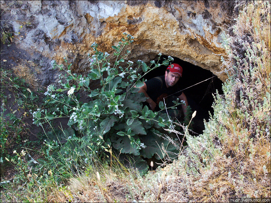 Нам понравился этот.