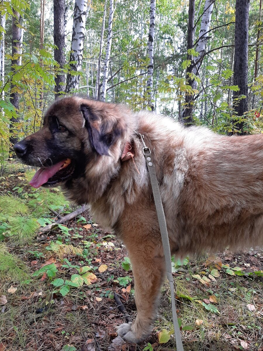 Моя королева!