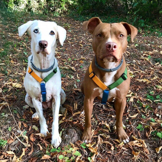 Нет давления на шею, ремень идет по груди, распределяя нагрузку.