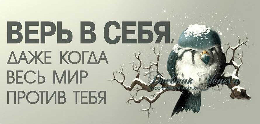 Да вернусь к матрице. Как только я сообщил о своей покупке и возможных целях для чего она послужит тут-же наткунулся на стену непонимания, возражений и как минимум недоумений. Самым популярным вопросом, который я слышу теперь постоянно, это "Зачем тебе это нужно?", "Как-же семья?", "Ты точно хорошо подумал?", "Да тебе не хватит опыта и знаний, люди этому всю жизнь учатся!", "А на что ты будешь жить?" и даже так: "А если утонешь?". Короче я на своей шкуре почувствовал, как весь мир ополчился против меня и пытается наставить на путь унылый и истеный по их мнению. Вердикт такой: Сиди и не рыпайся, будь как все и всё в этом роде...