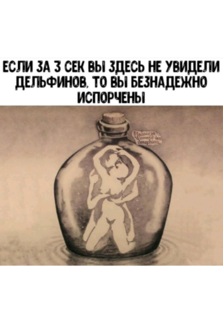 Где вы дельфины 