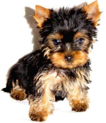 Пожалуста. Подпишись. И пальчик верх. спасибо.