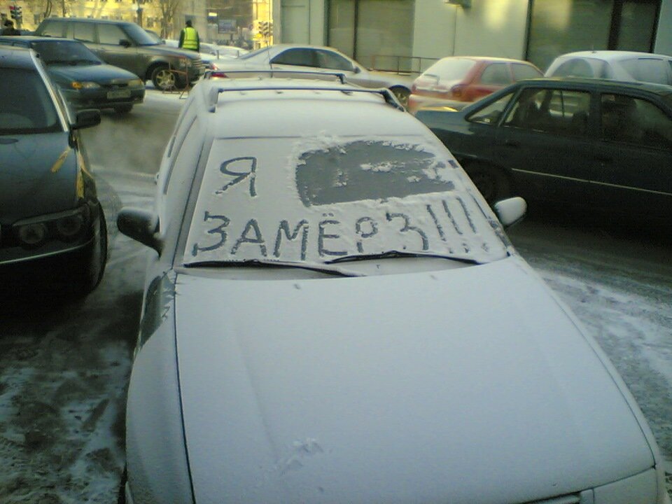 фото яндекс картинки 