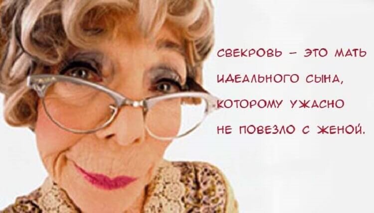 Фото из интернета. Лист Клевера