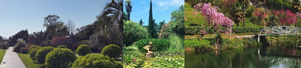 Замечательные виды парка "Южные Культуры"