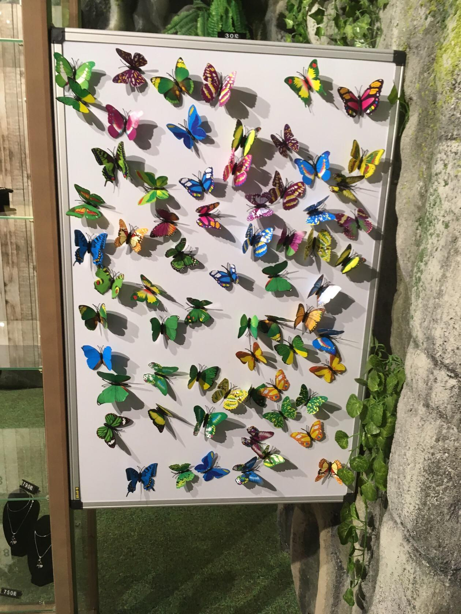 Die Schmetterlinge beherrschen das ganze Museum. Die Schmetterlinge herrschen über das ganze Museum. 