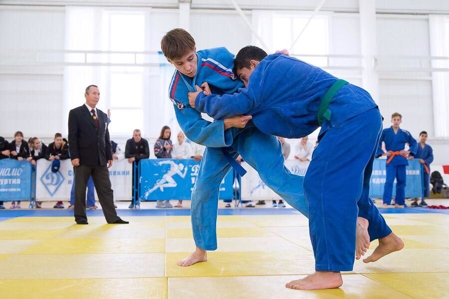 Фестиваль спортивных единоборств