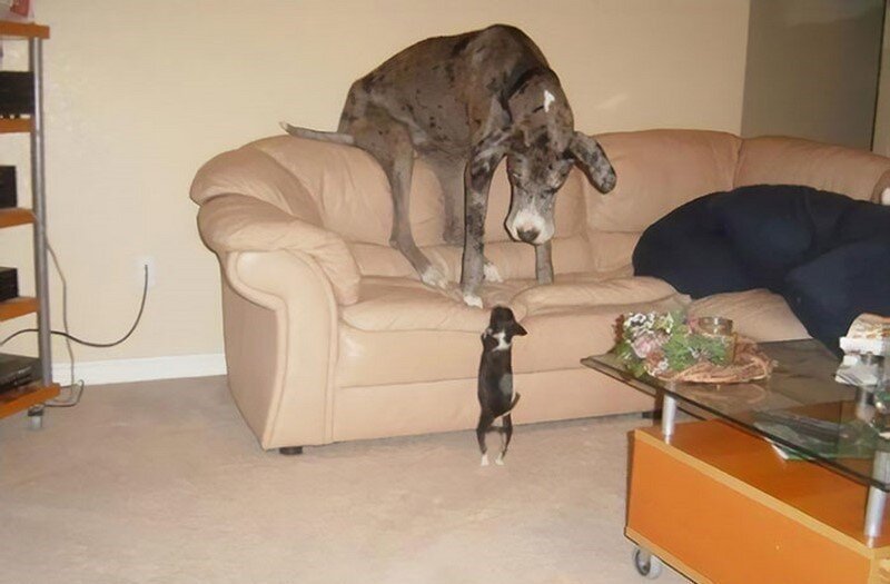 источник https://uamodna.com/assets/articles/image/e/v/f/evfo3j2i/fullsize.jpg