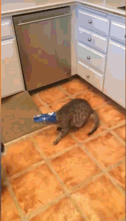 -4