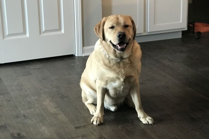 Jacquelyn Hensley / Kennedy News