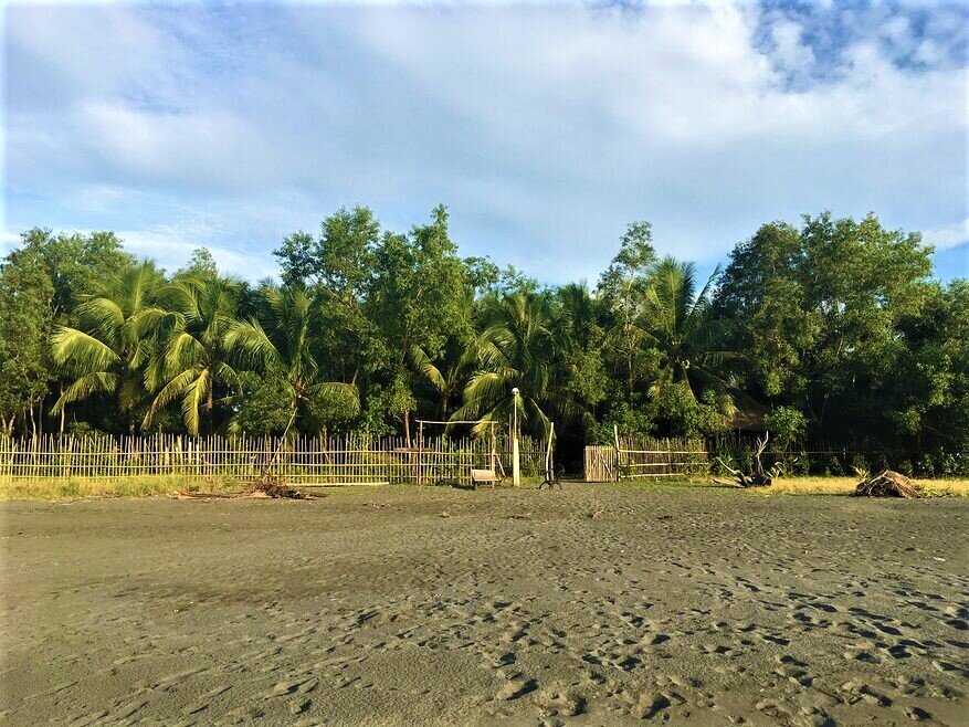 В этих джунглях скрывается  тот самый бамбуковый мини-отель. Филиппины, о. Миндоро, г. Саблайн 