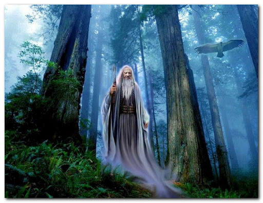 Из свободных источников.