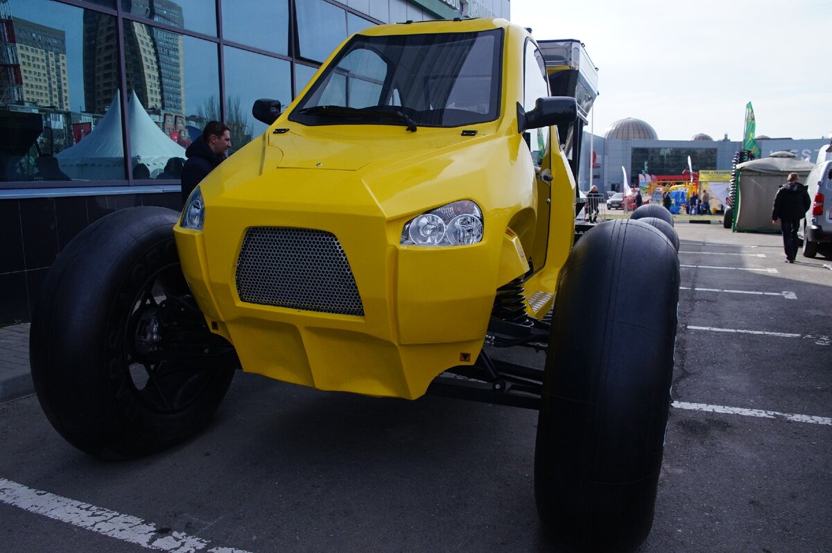 Барс. Фото автора.