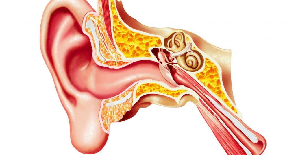 Источник Яндекс картинки