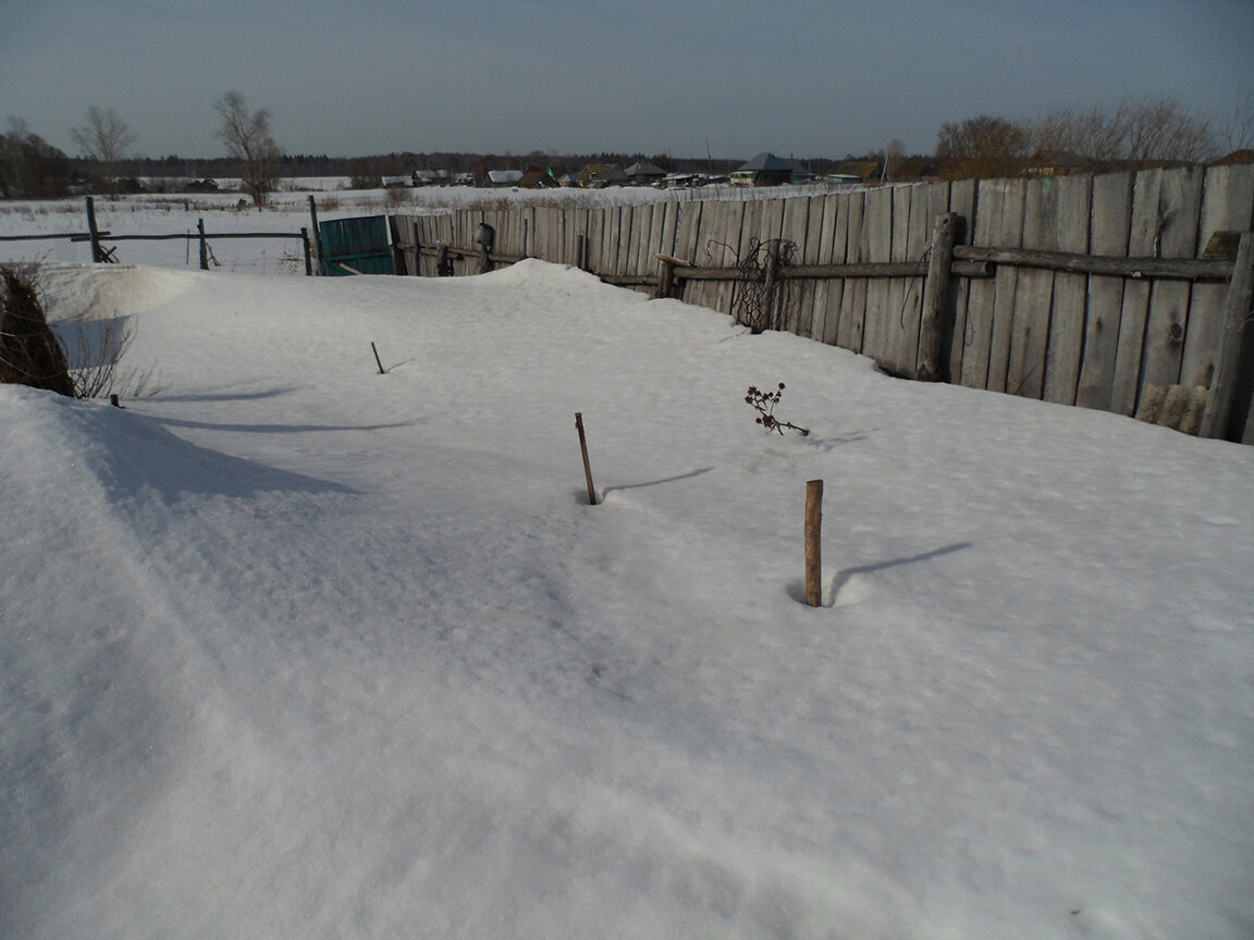 Места стоянки пчёл у меня отмечены вертикальными вешками.