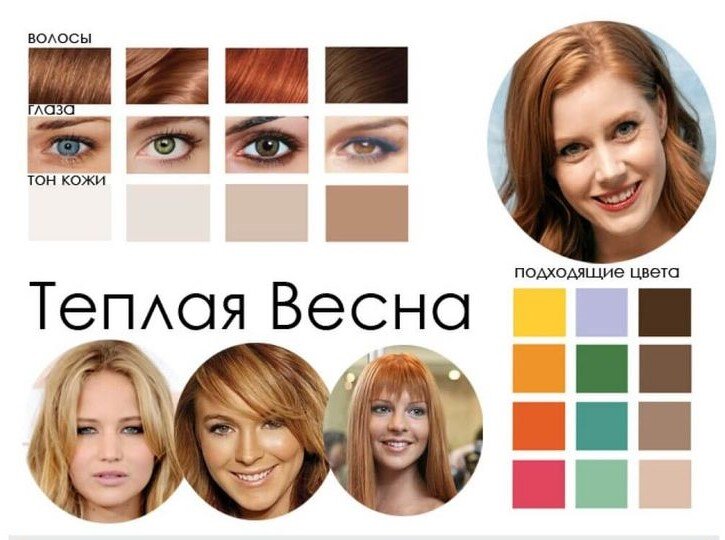 Зеленые глаза цветотип. Цветотип теплая Весна. Цветотип Весна цвет глаз. Цветотип Весна цвет волос. Цвета для теплого цветотипа.