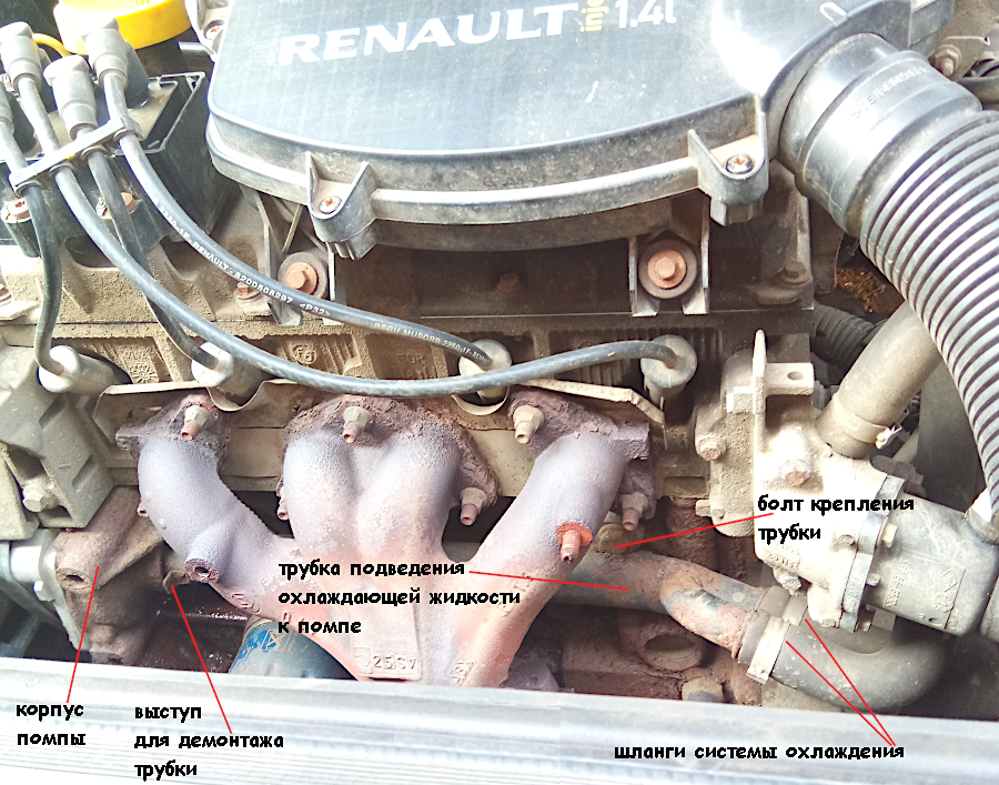 Замена помпы на Рено Логан с 8-клапанным ДВС объемом 1.4 л и 1.6 л