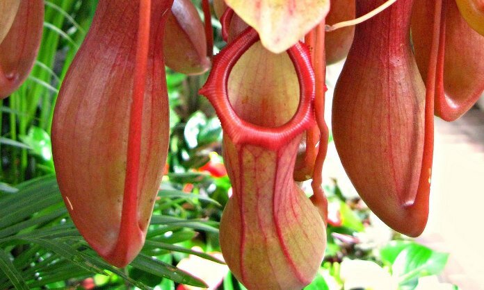 фото взято из открытого источника сети internet 