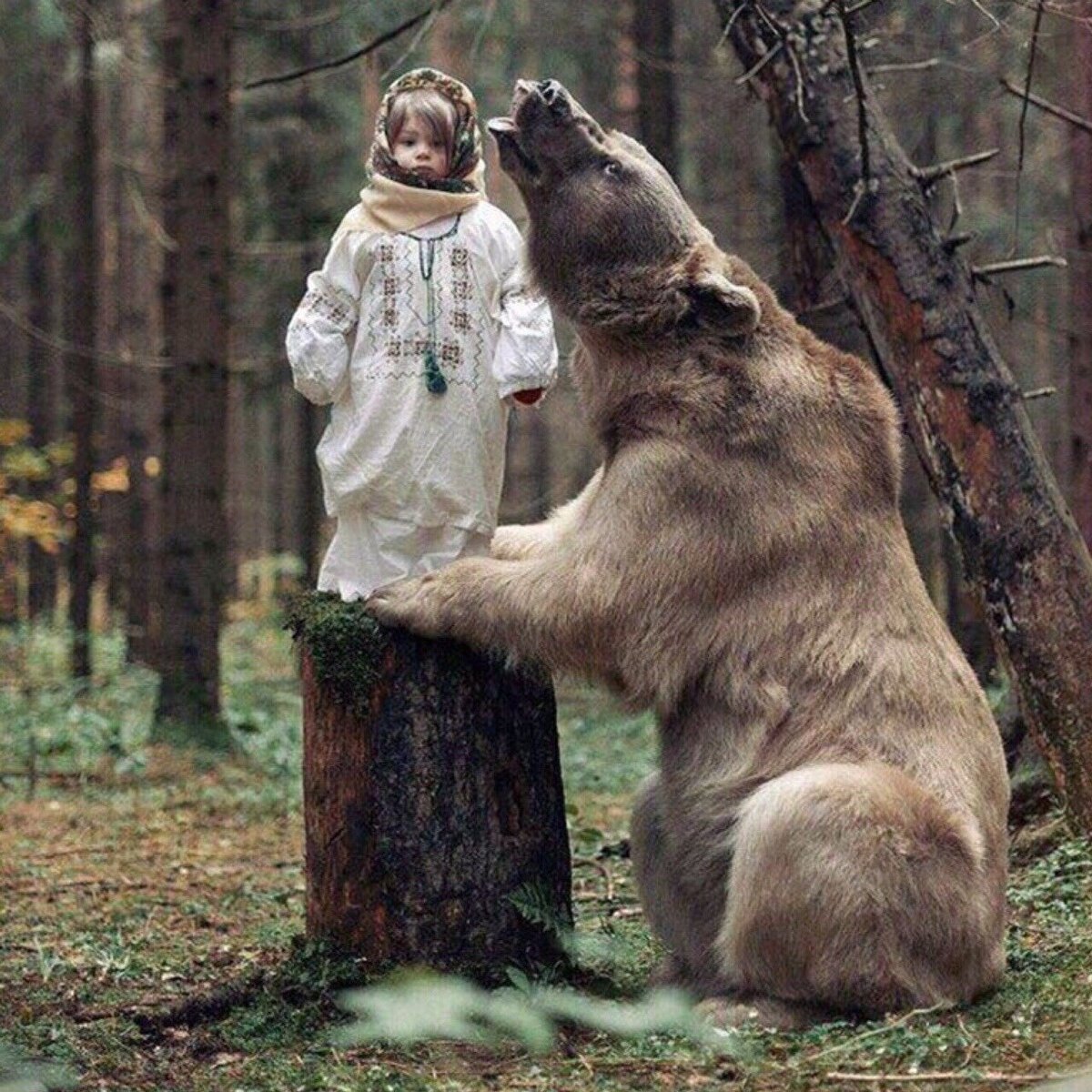 Русский домашний медведь. Русский медведь. Фотосессия с медведем. Добрый медведь.