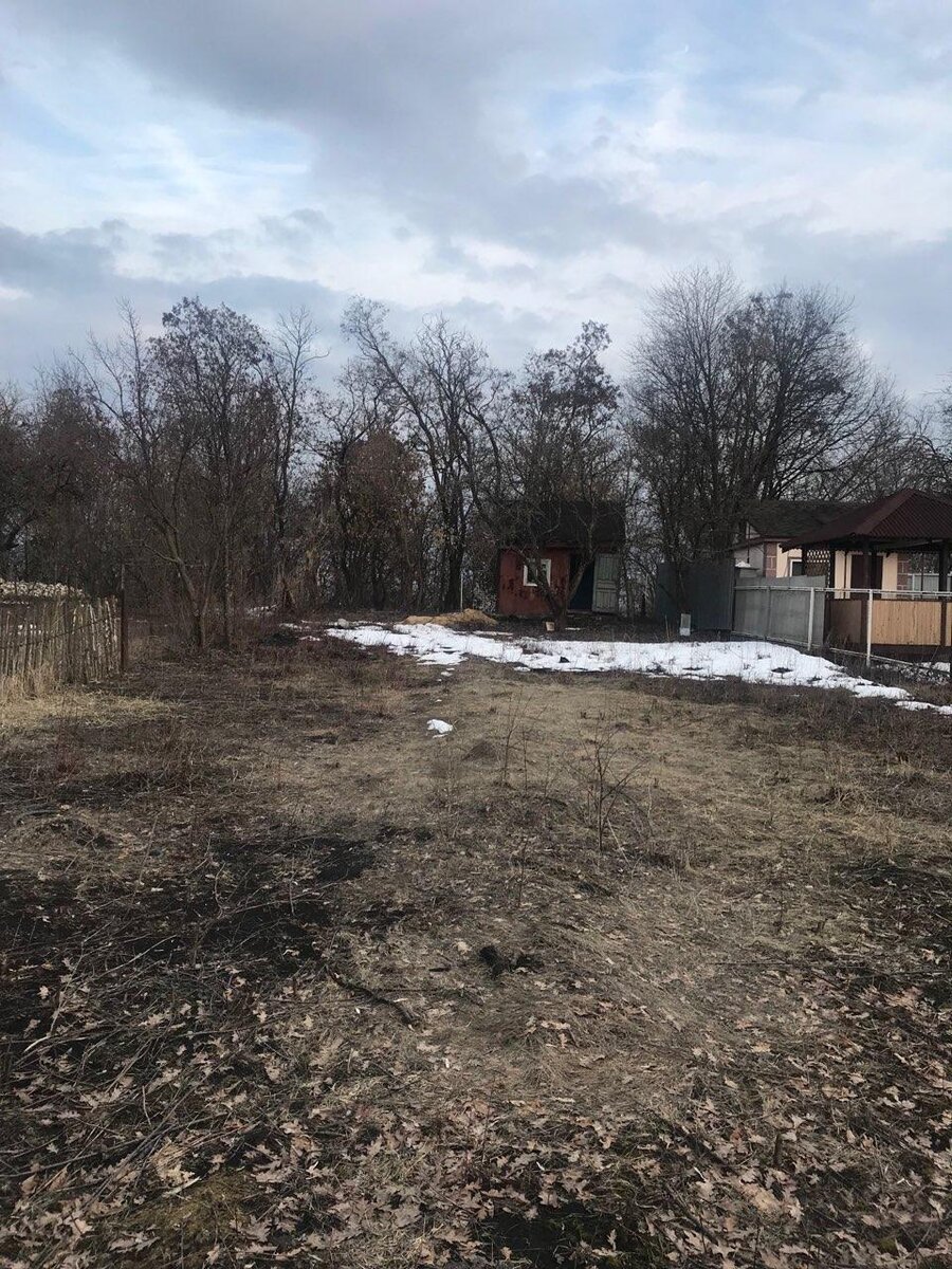 Вид на ещё пока не купленный участок  — первый осмотр 