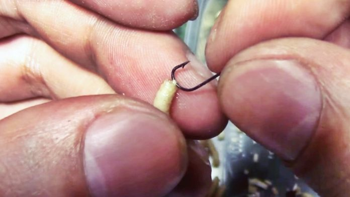 Изображение взято из открытого источника