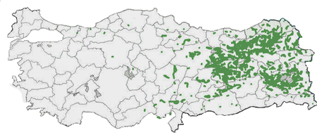 Расселение армян в Турции