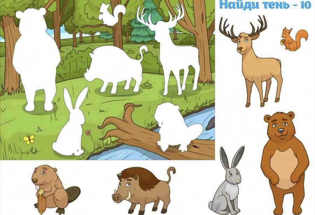 Игра найди зверей. Найди тень Дикие животные. Лесные животные для детей. Лесные животные задания для дошкольников. Картинки животных для дошкольников.