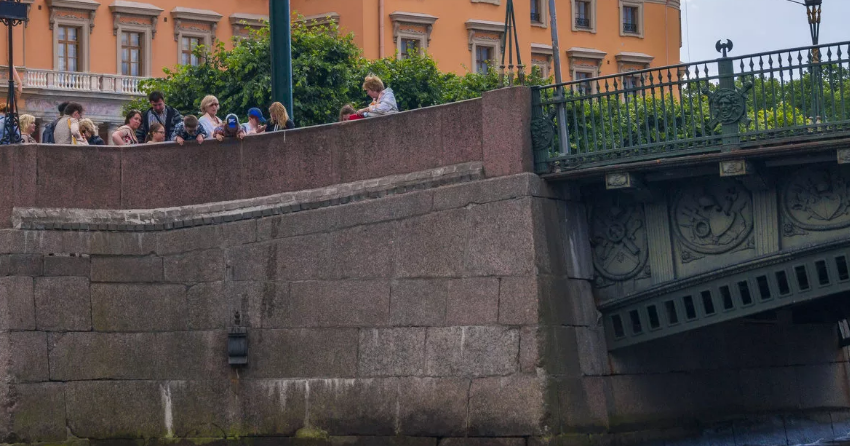 Нашли птичку? Фото из открытого источника