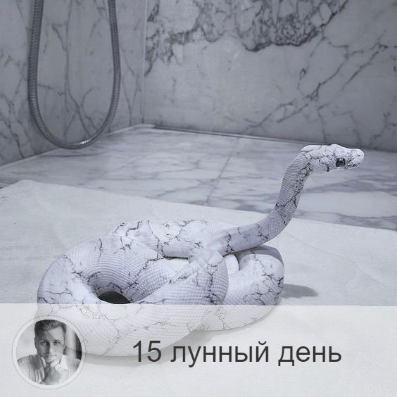 Подписывайтесь на наш канал, друзья!
15-ый лунный день с 19:58 2-ого по 20:11 3-ого. 🔆 Время разгула сил зла.
🐍 Символ дня – змей, шакал.
🎂 Люди, рождённые в этот лунный день, несут очень тяжелую карму. Часто учеба дается им с трудом. Они, как правило, не могут бороться со собой и поддаются всяческим соблазном, растрачивать свою энергию впустую. Им надо это осознать и научиться владеть собой. На физическом уровне бездумное растраты энергии проявляется в форме нарушения работы поджелудочной железы, диабета.
💍 Камень – агат.
🌚 В этот день душа наиболее свободна и испытывается искушениями. До времени полнолуния в этот день следует отлеживать свои эмоции и сдерживать свою реакцию на провокации. После времени полнолуния нужно следить за своими действиями. Чтобы самому не выступать провокатором.
✅ Рекомендуемые практики: аскеза, преодоление искушений.
В этот день надо практиковать аскезу, побеждать свою плоть, есть постную пищу, но она должна быть горячие и острой. Аскеза – это отказ от всех искушений, в том числе и в пище, что способствует неуязвимости перед силами зла, создает человеку защиту. Пища должна быть простой, горячей и острой. Так же в этот день особо рекомендуется помолиться за врага, так как после полнолуния есть возможность обрести защиту и улучшить отношения с людьми, которые создают в вашей жизни напряжение и негатив.
❌Запрещено: ссоры.
Нельзя есть капусту, чеснок, яблоки, так как эти продукты плохо усваиваются в этот лунный день.
⭕️Уязвимые органы: поджелудочная железа.
С 15-м лунным днём связны поджелудочная железа и диафрагма. Нарушение рекомендации дня могут привести к боли в желудке, в худшем случае к гастриту и язве. В это время хорошо употреблять продукты, чистящие поджелудочную железу.
💤 Сны этих лунных суток вещие на весь месяц. Вы можете увидеть проблему и путь ее разрешения в символическом виде.